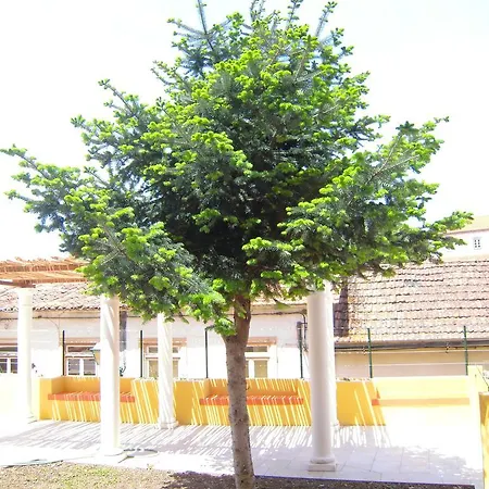 Casa rural Maior