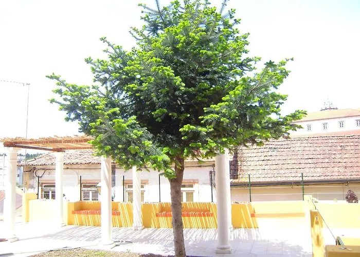 Casa di campagna Maior